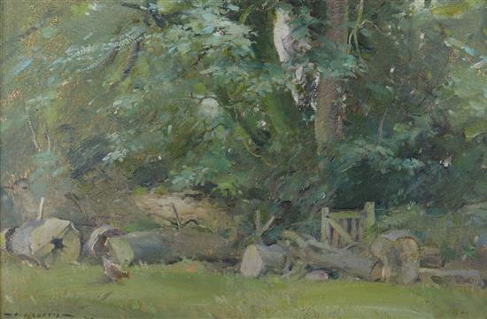 David Jan Curtis, two oils on board, May Blossom & Walkers and Fallen Tree, signed 30 x 24cm & 20 x 30cm.